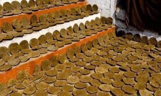 牛粪有的是2 牛粪有的是2